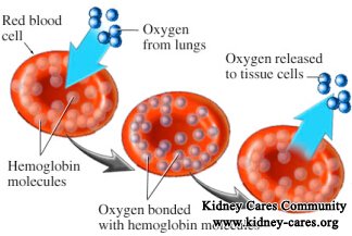 How to Have Good Hemoglobin Quality in ESRD Patients