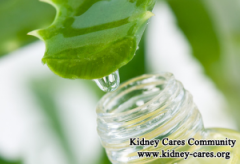 Can Aloe Vera Cure Kidney Failure
