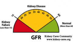 How To Raise GFR Levels Naturally