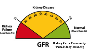 How To Raise GFR Levels Naturally