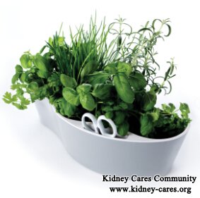 Systematic Herb Treatment for Kidney Patients