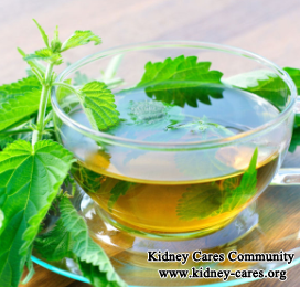 Home Remedies For Stage 4 Chronic Kidney Disease (CKD)