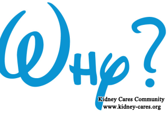 Why Does IgA Nephropathy Create In Body Even After Kidney Transplant