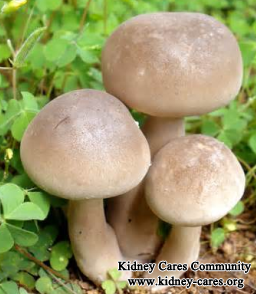 What Foods Should Be Avoided By Lupus Nephritis Patients