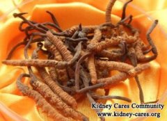 Can Cordyceps Sinensis Treat Nephrotic Syndrome