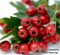 Can Hawthorn Be Used For Kidney Cyst