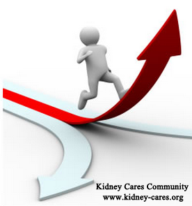 What Factors Affect The Prognosis Of Kidney Failure