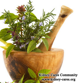 Natural Home Remedies To Reduce Blood Urea and Creatinine Levels