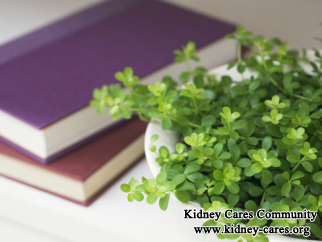 What Are Natural Remedies For Kidney Failure