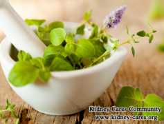 Holistic Treatment For Nephrotic Syndrome