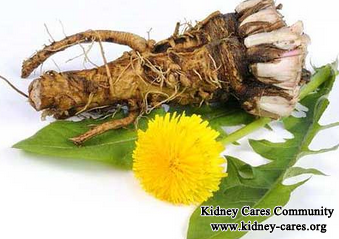 What Herbs Can Give To Kidney Failure Patients