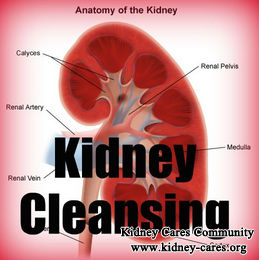 How To Safely Cleanse Your Kidneys