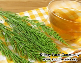 Can Kidney Function Be Improved With Herbs
