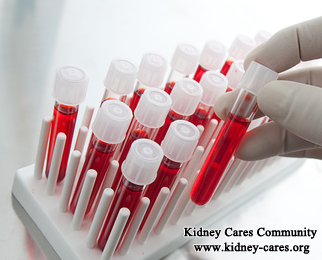 What Blood Test Show In Kidney Problems