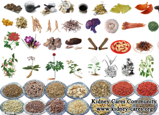 Can Patients with Creatinine 15 Survive Without Dialysis