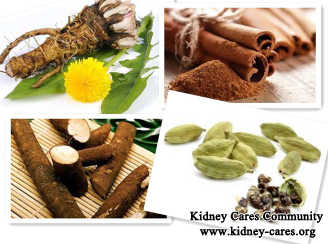 Alternative Medicines for Kidney Failure