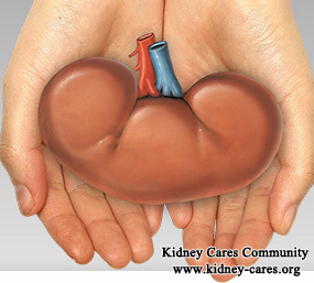 Can You Help Me Avoid Kidney Transplantation