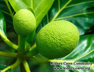 Can Someone with Chronic Kidney Disease Eat Breadfruit