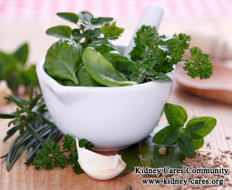 Are There Any Herbal Medicine That Can Help Creatinine Level