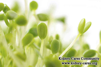 Can Sprouts Be Given To The Patients Who Have High Creatinine Level