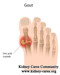 Why Does Gouty Nephropathy Result In Uric Acid