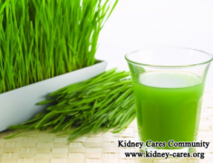 Should Nephrotic Syndrome Patients Drink Wheatgrass To Help
