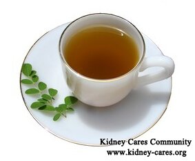 Is Moringa Tea Useful for Diabetic Nephropathy Patients