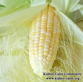 Can A Person With CKD Take Herbal Medicine
