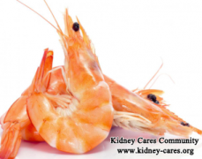 Can Chronic Nephritis Patients Eat Shrimp