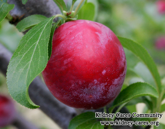 Can A CKD Patient Eat Plum