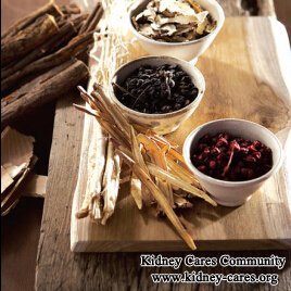 Can You Get Kidney Function Back with TCM Treatment