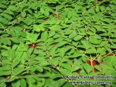 Is It OK to Use Moringa Oleifera Leaves in CKD Stage 3