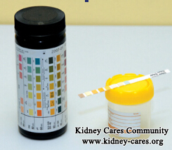 What Is the Reason for Protein Leakage in Kidney with A Diabetes Patient