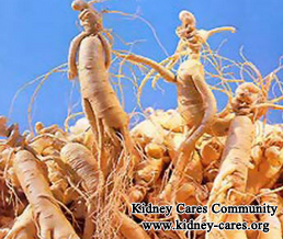 Can Kidney Disease Patients Consume Ginseng