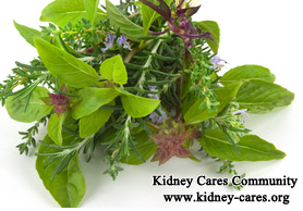 What Herbal Medicine Would You Recommend For PKD