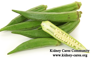 Is Ladyfinger Helpful to Normalize Creatinine Level