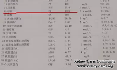 Can You Treat My Kidney Failure Without Dialysis