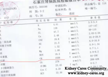 PKD Treatment Experience In Foreign Countries And China