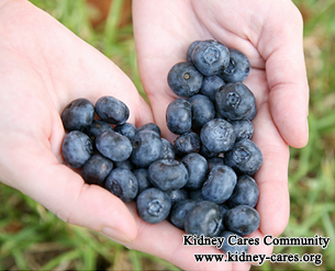 Can Blueberries Be Good For Chronic Kidney Disease With Creatinine 8.6