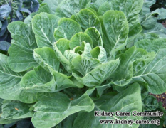 Are Collard Green Safe For Stage 3-4 CKD