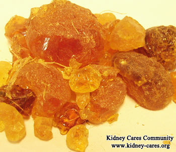 Can Acacia Gum Cure Kidney Failure And Eliminate The Need For Dialysis