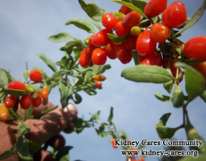 Is It OK To Take Goji When On Dialysis