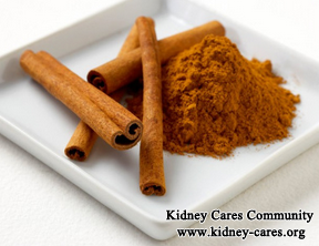 Can We Take Cinnamon For Kidney Failure