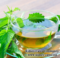 Can A Patient Take Nettle Leaf Tea For 3 Cysts In The Left Kidney