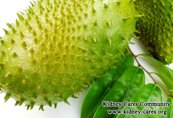 Are Guyabano Leaves Good For Kidneys