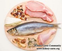 Should I Eat More Protein or Less Protein with Stage 4 CKD and Creatinine 1.8