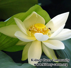 Chinese Medicine Has Obvious Effects In Nephrotic Syndrome
