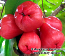 Can Kidney Patients Eat Rose Apple