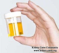 What Does Blood in Urine Mean for PKD Patients