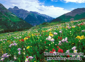 What Herbs Are Good To Use For Stage 3 Chronic Kidney Disease